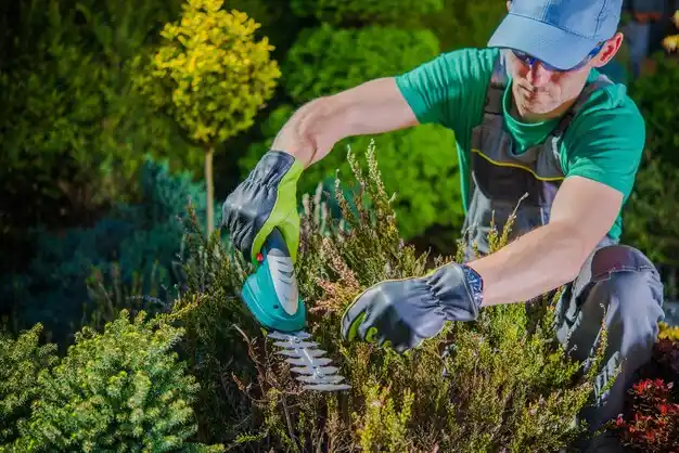 landscaping services Tupelo
